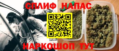 крисы Долгопрудный