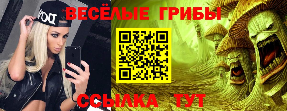 Галлюциногенные грибы Psilocybe Можайск